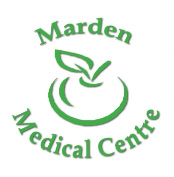 Marden Health Fair